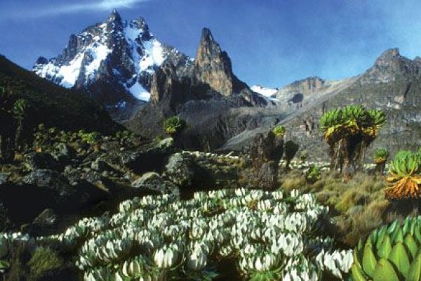 4-Days Chogoria Route Luxury