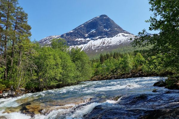 4-Days Mt. Kenya and 8 -Days Amboseli, Lake Nakuru, Naivasha and Masai Mara Luxury Safari.
