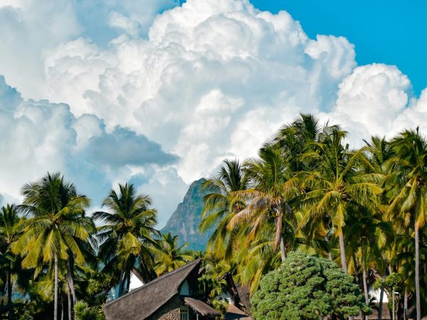 3-Day Watamu Beach Holiday Luxury